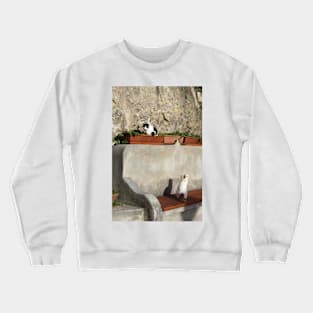 Cat Yoga Crewneck Sweatshirt